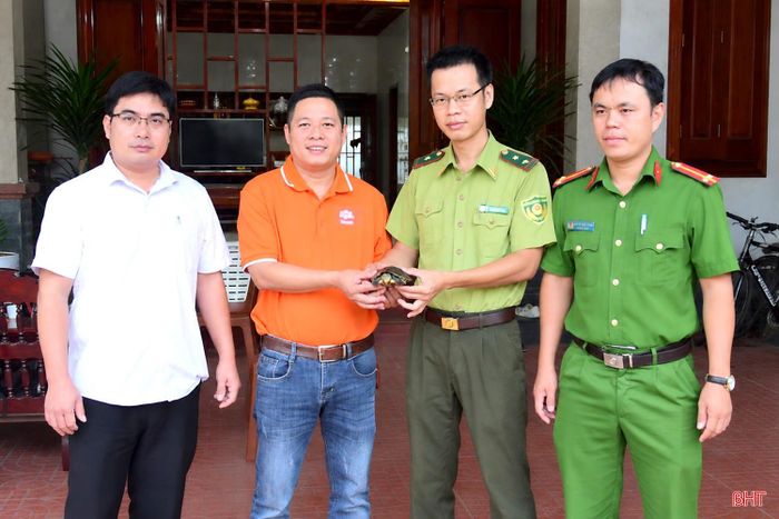 Các lực lượng chức năng tiếp nhận cá thể rùa cổ sọc do anh Sơn bàn giao.