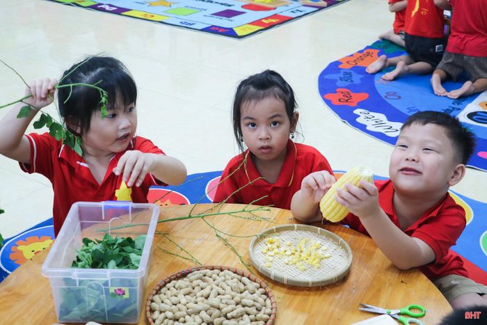 Trường Mầm non Can Lộc xác định sự tiến bộ của mỗi trẻ và hiệu quả thực chất của giáo dục là thước đo quan trọng nhất.