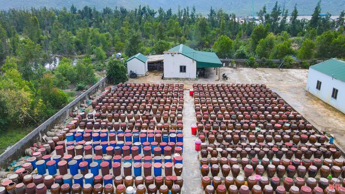 Sau 20 năm gắn bó với nghề, năm 2016, tôi cùng 7 thành viên góp vốn thành lập HTX Thu mua và Chế biến thủy hải sản Chiến Thắng, từng bước đưa nước mắm Luận Nghiệp từ cơ sở sản xuất nhỏ lẻ phát triển theo hướng chuyên nghiệp.