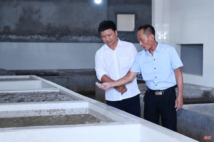 Chương trình "Đồng Tiến vươn mình" là cơ hội để các cơ sở sản xuất tại xã Đồng Tiến quảng bá sản phẩm trên các nền tảng số.