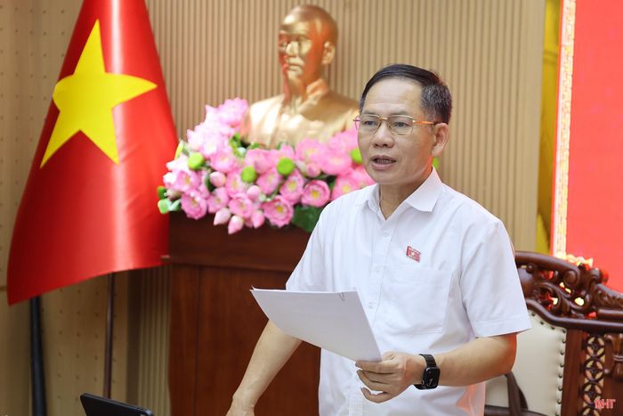 Phó Trưởng đoàn chuyên trách Đoàn ĐBQH tỉnh Trần Đình Gia phát biểu kết luận hội nghị.