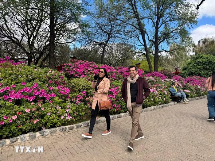 Cộng đồng người Nhật tại Argentina có lịch sử 140 năm. Chính cộng đồng này đã góp phần đưa văn hóa, nghệ thuật làm vườn và những nét đặc trưng của Nhật Bản trở thành một phần của đời sống văn hóa Argentina. (Ảnh: Diệu Hương/TTXVN)