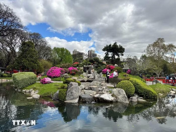 Những cây cầu cong, hồ nước với cá koi, đèn đá, các lối đi uốn lượn, bonsai, tre và nhiều loài cây đặc trưng của Nhật Bản được kết hợp hài hòa với hệ thực vật bản địa Argentina. (Ảnh: Diệu Hương /TTXVN)