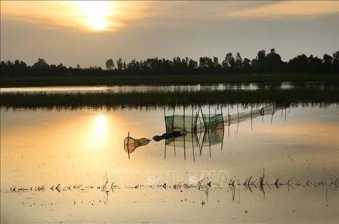 Khi nước tràn vào đồng ruộng, các loài cá theo dòng nước di chuyển và sinh trưởng, là thời điểm người dân khai thác thủy sản bằng nhiều phương thức truyền thống như giăng lưới, đặt lờ, đặt lọp hoặc dùng các dụng cụ đánh bắt phù hợp.