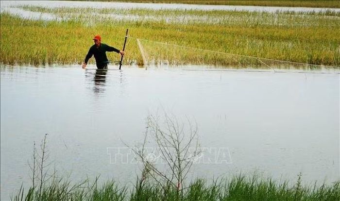 Để thích ứng tốt với lũ Cần Thơ không phải cố gắng ngăn nước bằng mọi giá, mà là biết quy hoạch để nước có chỗ đi, có chỗ chứa; biết tổ chức sản xuất theo mùa nước; biết khai thác giá trị từ sông, đồng và hệ sinh thái.