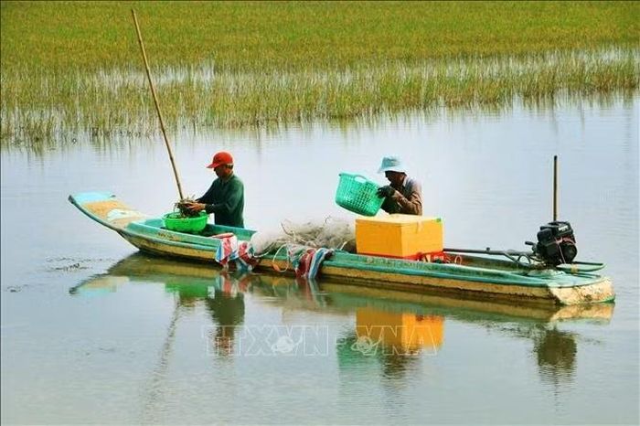 Lũ có thể gây ra những thách thức lớn, nhưng nếu được nhìn nhận đúng, mùa nước nổi cũng có thể trở thành một phần lời giải bài toán sinh kế và phát triển bền vững cho Cần Thơ.