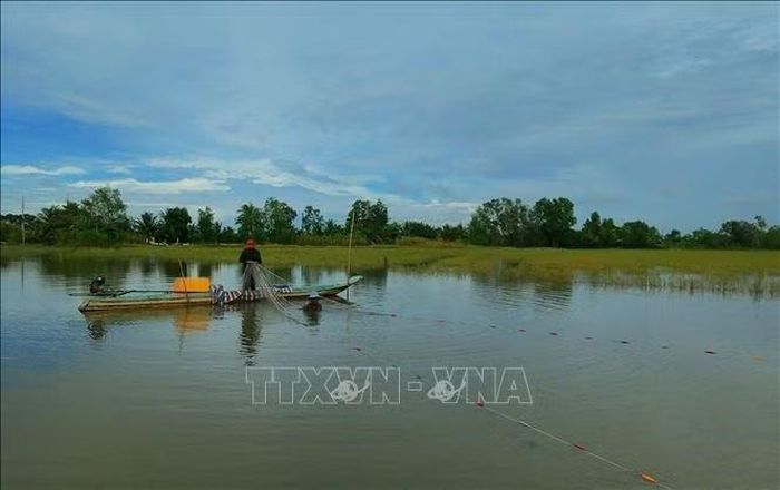 Bài toán của Cần Thơ không phải là tìm cách loại bỏ nước lũ khỏi mọi không gian, mà là xác định nơi nào cần giữ, nơi nào cần thoát nước, nơi nào cần kiểm soát nước và nơi nào có thể khai thác giá trị từ nước lũ.