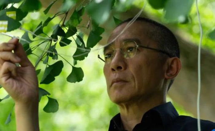Silent Friend của Ildikó Enyedi là đại diện Hungary. Với sự tham gia của Tony Leung Chiu-wai, phim khai thác mối quan hệ giữa con người, thực vật và thời gian theo cách giàu tính nghệ thuật. Tác phẩm từng nhận 6 giải thưởng tại Liên hoan phim Venice.