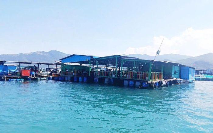 Một nhà bè nổi trên vịnh Nha Trang