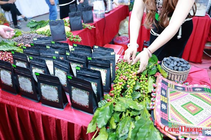 Sơn La đẩy mạnh thu hút đầu tư vào chế biến sâu, xây dựng thương hiệu và mở rộng thị trường tiêu thụ, từng bước nâng cao giá trị cà phê Arabica địa phương.