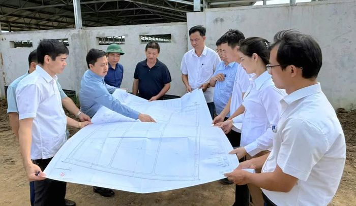 Giám đốc Sở Nông nghiệp và Môi trường Lê Văn Tiến kiểm tra và chỉ đạo tại dự án.