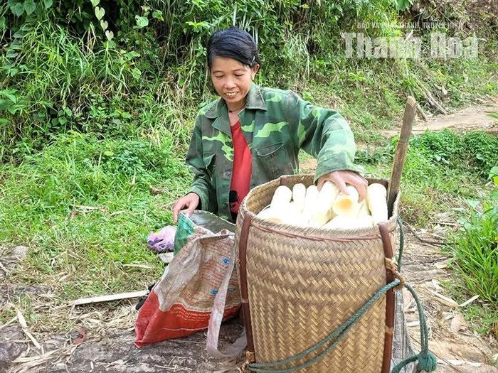 Gùi măng rừng mới hái của chị Hà Thị Lềnh ở bản Yên Bình.