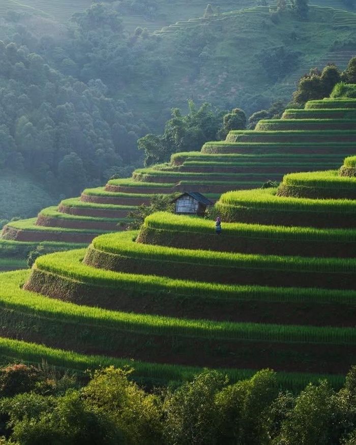 Ruộng bậc thang được xác định là “sợi chỉ đỏ” về cảnh quan và câu chuyện. Ảnh: Garrya Mù Cang Chải