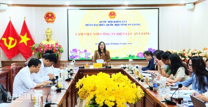 Phó Trưởng đoàn Đại biểu Quốc hội tỉnh An Giang Lý Anh Thư phát biểu tại buổi làm việc.
