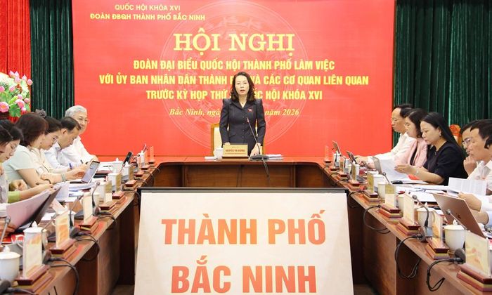  Các đại biểu dự buổi làm việc. 