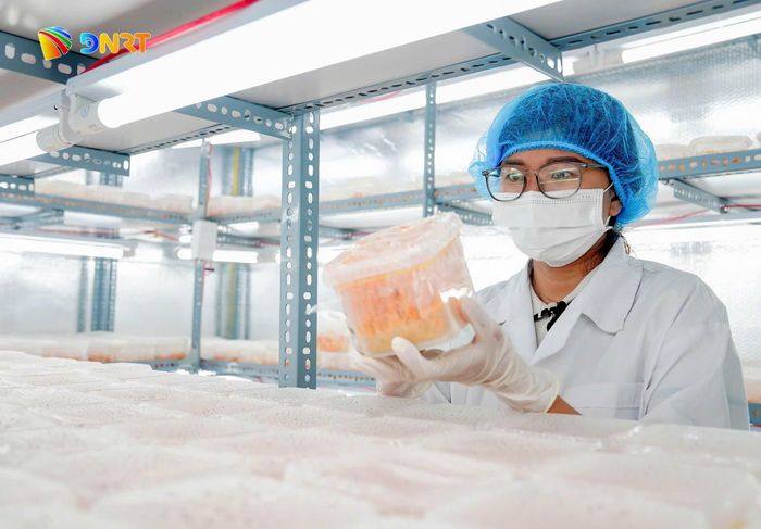 Với khát vọng phát triển kinh tế ngay trên quê hương, chị Võ Thu Thủy xây dựng mô hình Đông Trùng Hạ Thảo Duy Lợi. Ảnh: NVCC