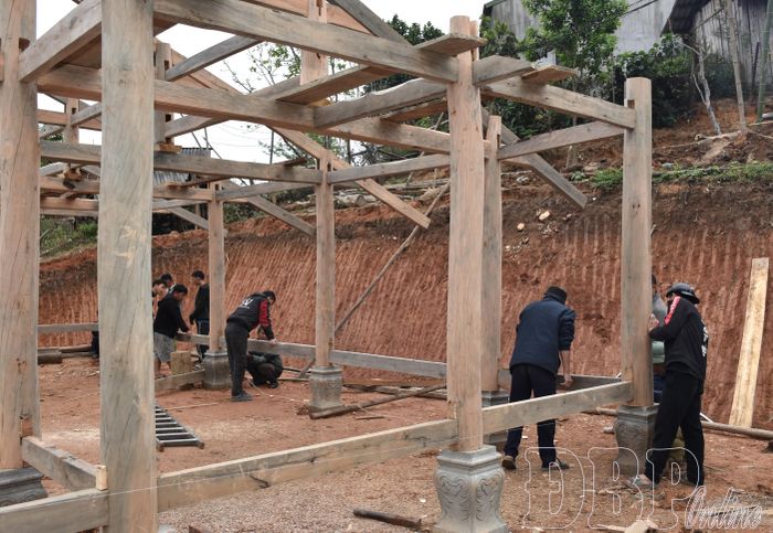 Người dân bản Thộ Lộ, xã Búng Lao đoàn kết giúp nhau dựng nhà ở.
