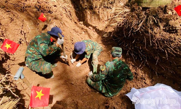 Cán bộ, chiến sĩ Đội K91 khai quật, tìm kiếm hài cốt liệt sĩ tại vườn dừa của hộ dân (Nghĩa trang Cả Cái cũ), ấp Cả Cái, xã Tân Thành.