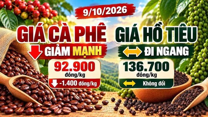 Hình minh họa.