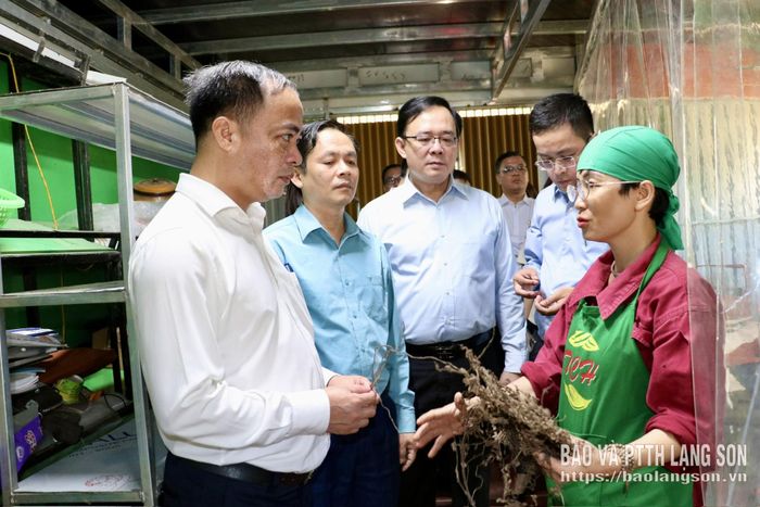 Đoàn công tác khảo sát, tham quan mô hình ứng dụng KHCN vào sản xuất tại Cơ sở sản xuất thạch Chu Hạnh (xã Na Sầm)