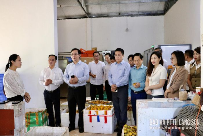 Đoàn công tác khảo sát và tham quan mô hình ứng dụng KHCN vào sản xuất tại Hợp tác xã Nông sản Toàn Thương (xã Na Sầm)