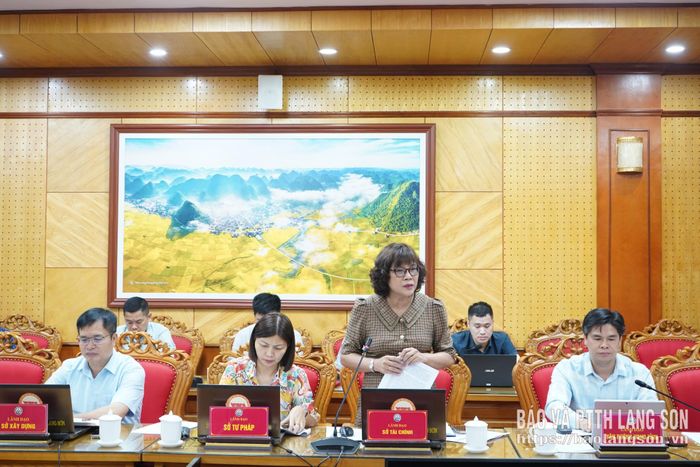 Lãnh đạo Sở Tài chính phát biểu ý kiến tại cuộc họp