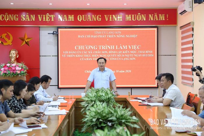 Đồng chí Lương Trọng Quỳnh, Ủy viên BTV Tỉnh ủy, Trưởng Ban Nội chính Tỉnh ủy, Phó Trưởng ban Thường trực BCĐ phát triển nông nghiệp tỉnh phát biểu kết luận tại buổi kiểm tra với các xã khu vực Đình Lập