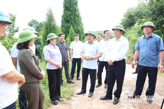 Đồng chí Lương Trọng Quỳnh, Ủy viên BTV Tỉnh ủy, Trưởng Ban Nội chính Tỉnh ủy, Phó Trưởng ban Thường trực BCĐ phát triển nông nghiệp tỉnh cùng đoàn công tác kiểm tra mô hình phát triển sản xuất trên địa bàn xã Na Dương