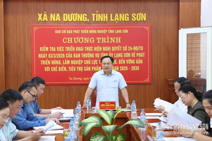Đồng chí Lương Trọng Quỳnh, Ủy viên BTV Tỉnh ủy, Trưởng Ban Nội chính Tỉnh ủy, Phó Trưởng ban Thường trực BCĐ Phát triển nông nghiệp tỉnh phát biểu kết luận tại buổi kiểm tra với các xã khu vực Lộc Bình