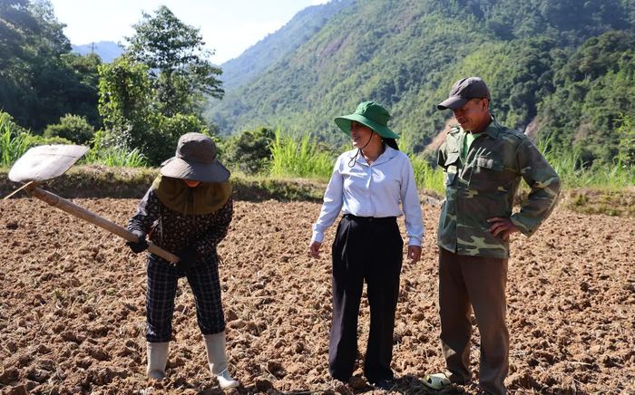 Cán bộ chuyên môn hướng dẫn kỹ thuật và trực tiếp cùng người dân làm đất, gieo trồng cây vụ đông.