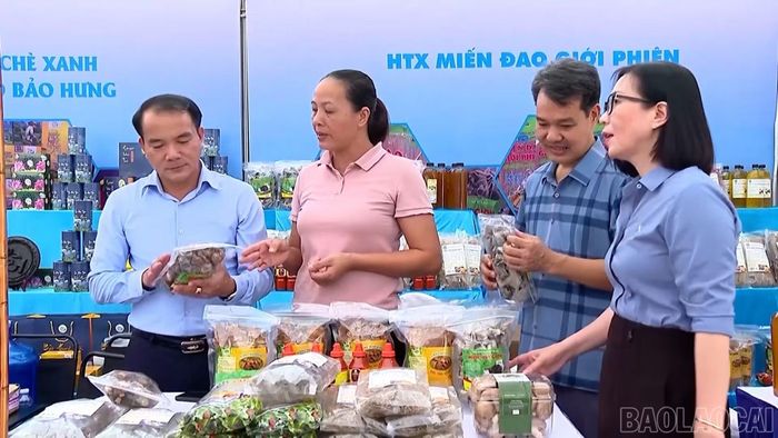 Điểm bán hàng OCOP là một trong những kênh kết nối sản phẩm địa phương với người tiêu dùng.