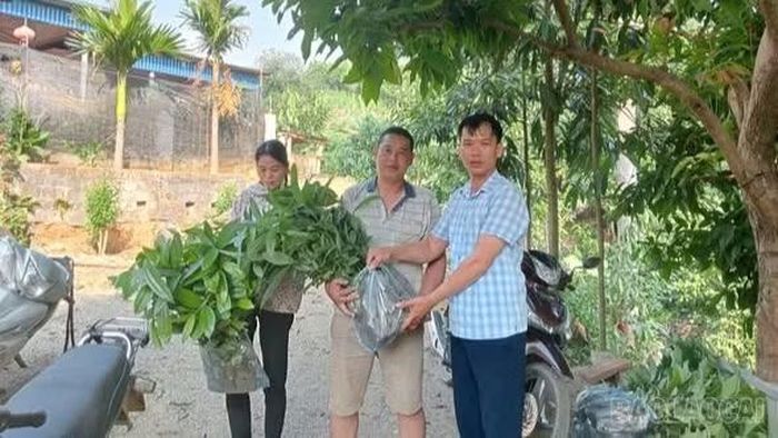 Các ngành, đoàn thể xã Phong Dụ Thượng hỗ trợ cây giống cho hộ nghèo trên địa bàn xã.