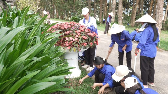 Đoàn viên, thanh niên phường Cam Ly - Đà Lạt ra quân thực hiện dọn dẹp vệ sinh, tôn tạo cảnh quan trên địa bàn