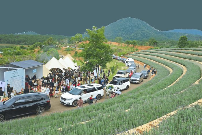 Khách đến tham quan, trải nghiệm dịch vụ du lịch tại phường Xuân Hương - Đà Lạt