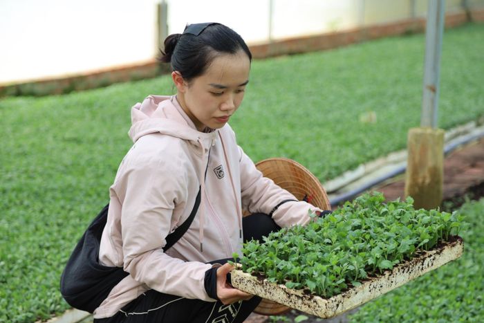Chị Nguyễn Thị Bảo Nhi khởi nghiệp với mô hình phát triển nông nghiệp công nghệ cao