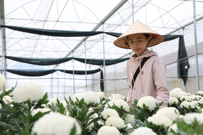 Chị Nguyễn Thị Bảo Nhi, ở xã Đam Rông 1 đưa kiến thức chuyên ngành về phục vụ sản xuất tại quê nhà