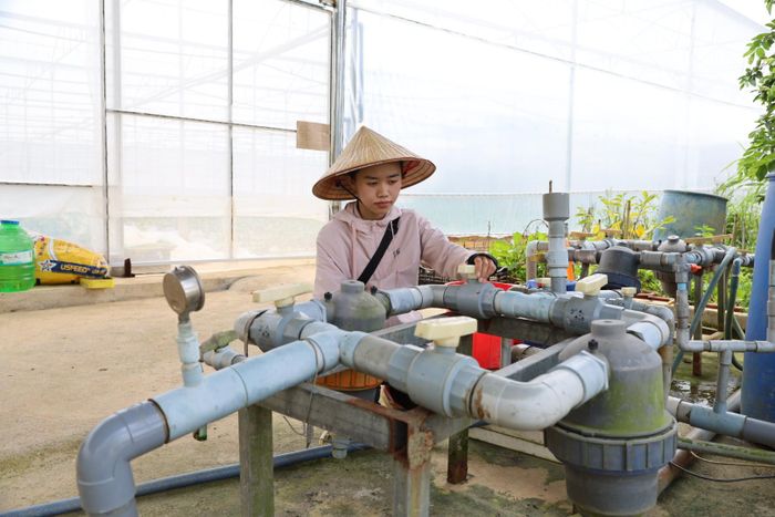 Chị Nguyễn Thị Bảo Nhi ứng dụng khoa học kỹ thuật trong sản xuất