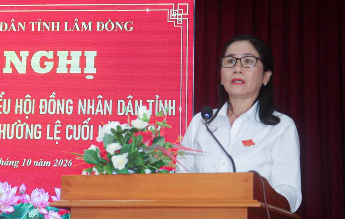 Bà Lê Thị Thanh Thái, Phó Chánh án TAND tỉnh báo cáo kết quả các kỳ họp HĐND tỉnh vừa qua