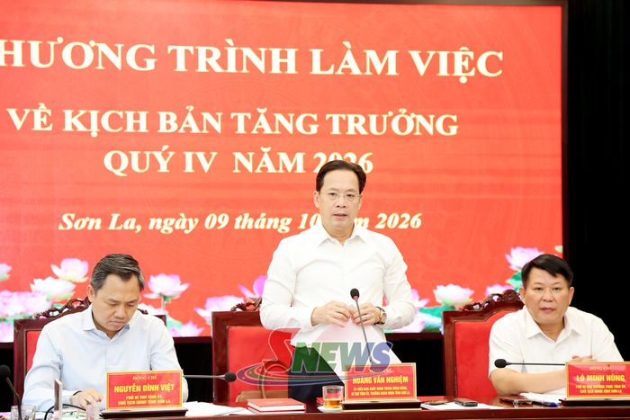 Đồng chí Hoàng Văn Nghiệm, Ủy viên Ban Chấp hành Trung ương Đảng, Bí thư Tỉnh ủy, Trưởng Đoàn đại biểu Quốc hội tỉnh phát biểu chỉ đạo tại chương trình làm việc.