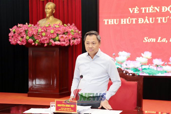 Đồng chí Nguyễn Đình Việt, Phó Bí thư Tỉnh ủy, Chủ tịch UBND tỉnh phát biểu kết luận tại cuộc làm việc.