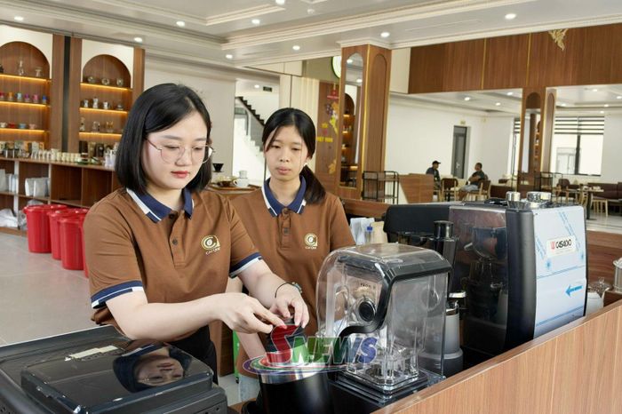 Nhân viên Công ty TNHH Sản xuất và Thương mại Cát Quế kiểm tra chất lượng hạt cà phê.