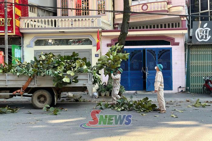 Nhân viên Công ty Cổ phần Môi trường và Dịch vụ đô thị Sơn La thu gom cành cây trên tuyến đường Trần Đăng Ninh.