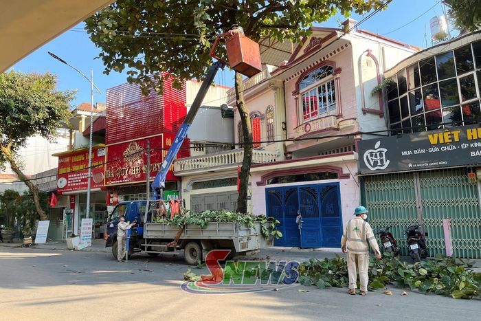 Nhân viên Công ty Cổ phần Môi trường và Dịch vụ đô thị Sơn La thực hiện tỉa cành cây trên các tuyến đường.