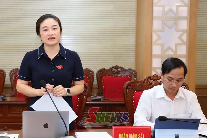 Thành viên Đoàn giám sát phát biểu tại cuộc làm việc.