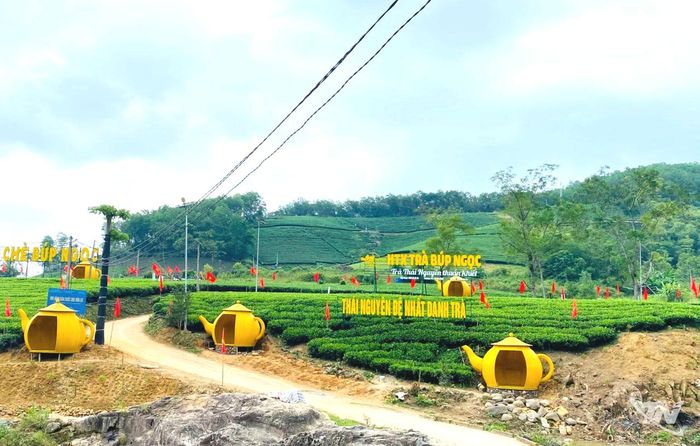 Khu vực đồi chè của Hợp tác xã Búp Ngọc (xã La Bằng) đã được chỉnh trang để phục vụ Festival.