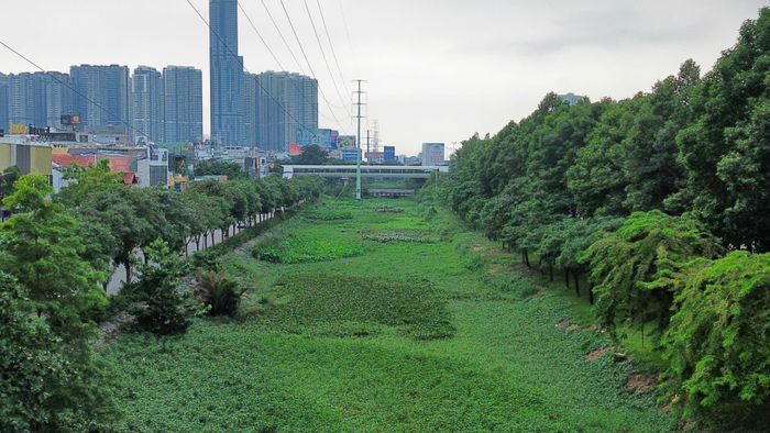 Rạch Đá Đỏ trước khi được thi công.
