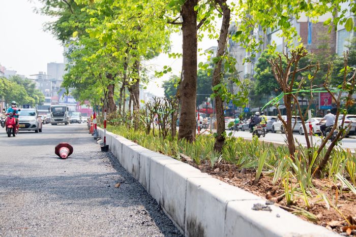 Dải phân cách giữa được thu hẹp, nhường thêm diện tích cho mặt đường, mở rộng không gian lưu thông trên phố Ô Chợ Dừa.