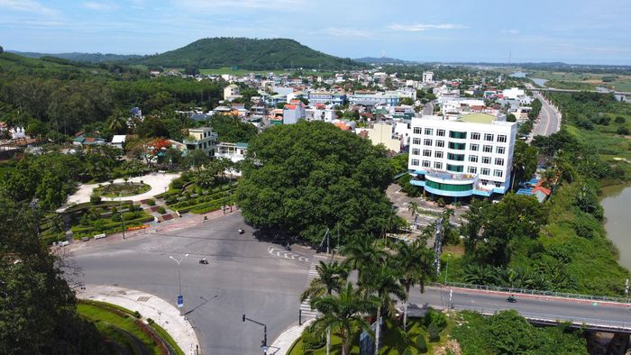 Cây đa cổ thụ được giữ nguyên để hình thành đảo giao thông và hoa viên mini, nối dài đường Tế Hanh chạy dọc sông đến vòng xoay mới xây dựng để hoàn thiện quy hoạch nút.