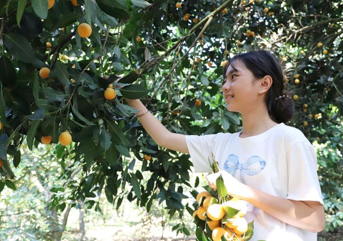 Người dân chuyển hướng vừa làm nông nghiệp kết hợp du lịch.