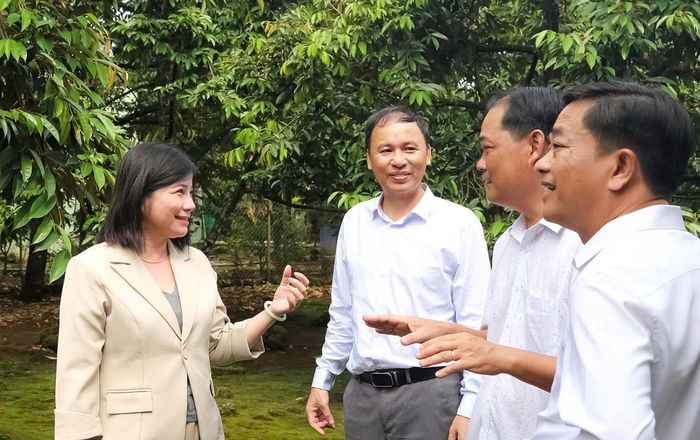 Một vườn cây ăn trái của nông dân Đồng Nai.
